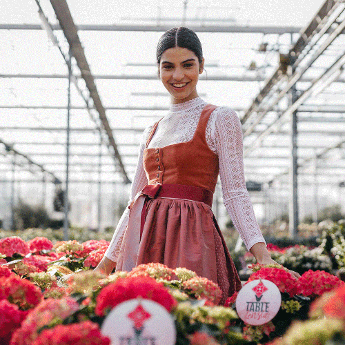 Samtdirndl Mara Peach - Amsel Fashion